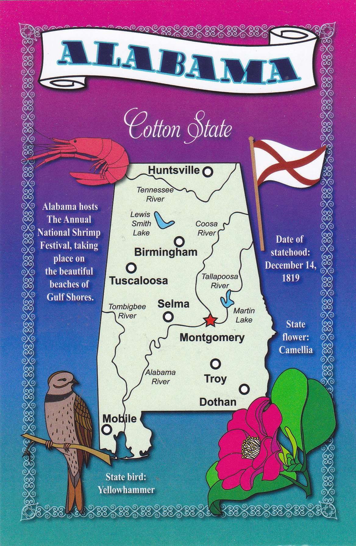 STATES1ALA - ALABAMA - Cotton State, Date of Statehood: Dec 14, 1819, State Flower: Camellia, State Bird: YellowHammer; Capital: Montgomery - ... // ... - A U.S. State POSTCARD .. from HibiscusExpress