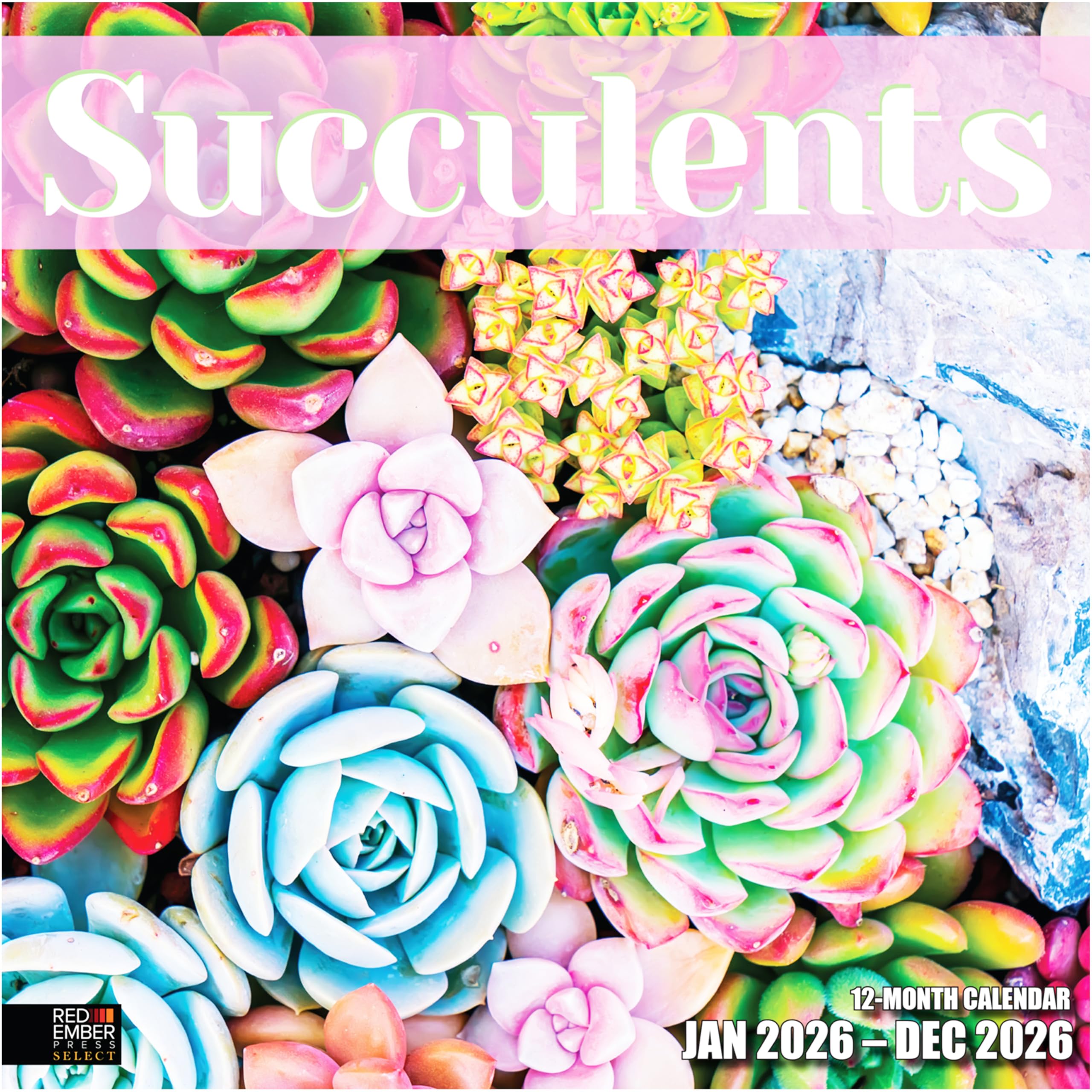 RED EMBER Select - Succulents 2026 Wall Calendar 12 Month | 12" x 24" Open | Thick &amp; Sturdy Paper | Holiday Gift | Nature Calendar 2026