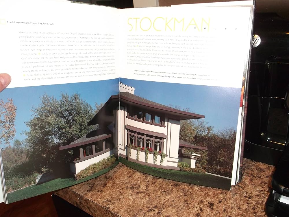 91N0SoKrRwL._AC_UF1000,