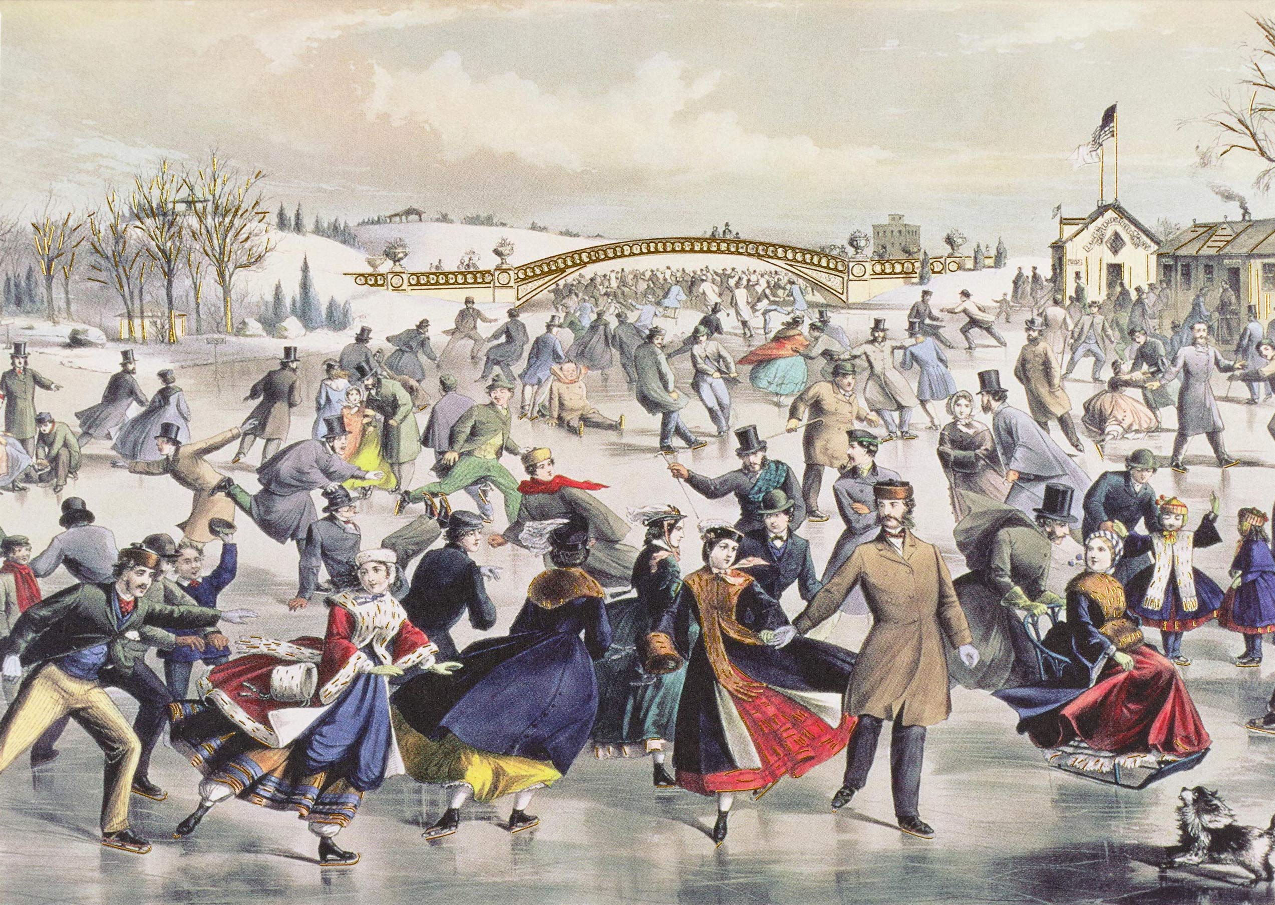 The Skating Pond Holiday Cards (Deluxe Boxed Holiday Cards), White, 7 x 5 inch