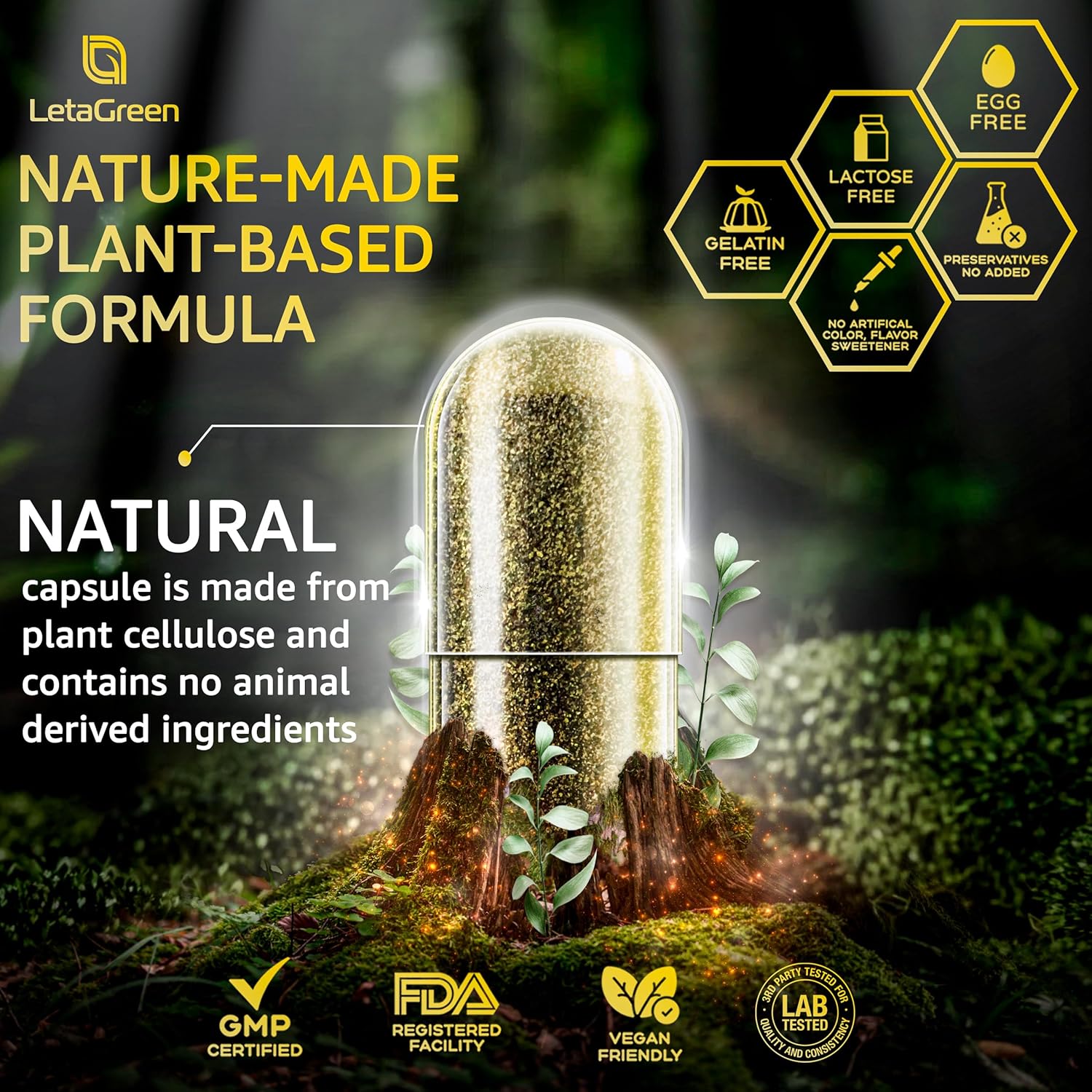 Sea Moss Capsules – 17-in-1 Blend with Black Seed Oil Ashwagandha Bladderwrack Burdock Root Turmeric Vitamin D3 K2 C for Daily Wellness – Multimineral Supplement for Men & Women – 120 Count - Image 7