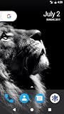 Zoom IMG-1 lion pride hd wallpapers