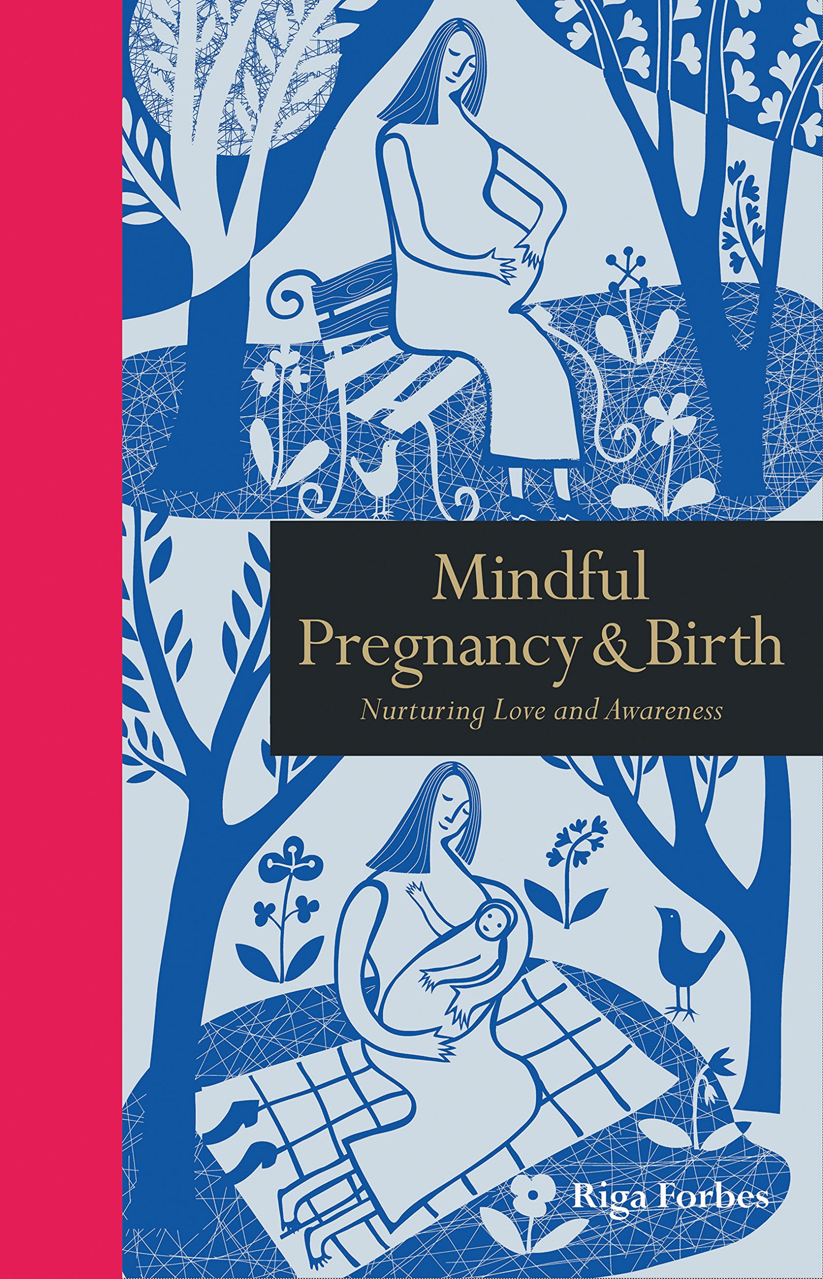 Buy Mindful Pregnancy & Birth — BookShops.in