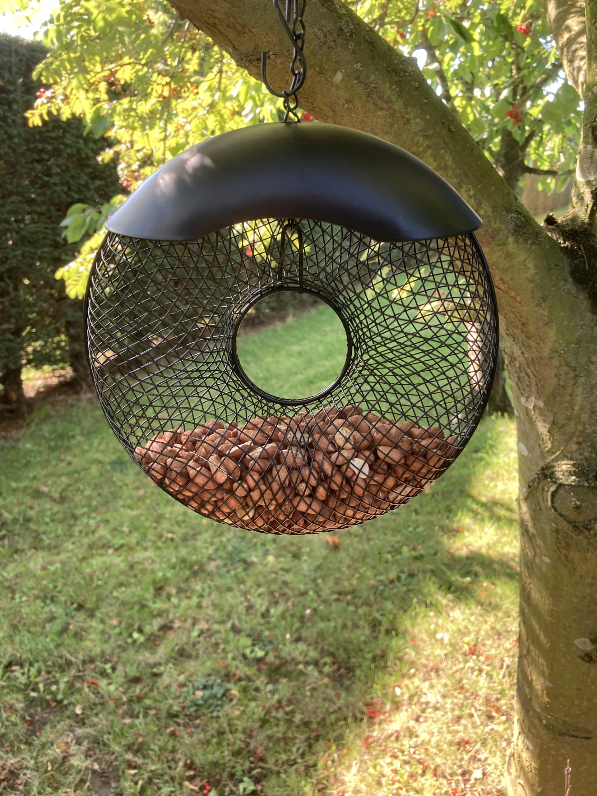 Oakdale Donut Premium Peanut Wild Bird Feeder - Easy Refillable Outdoor Hanging Garden Decoration For Birdwatching - Image 2