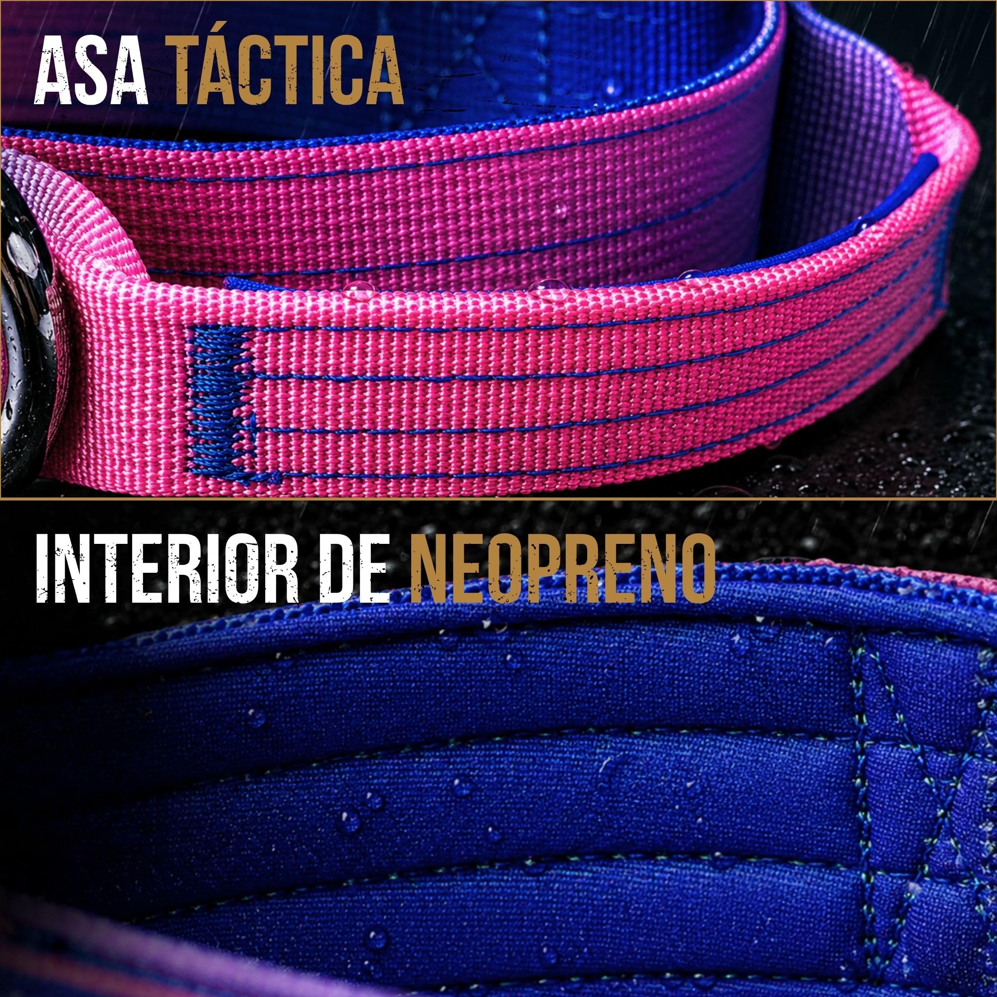 PAWNEE - Collar Táctico para Perros Inoxidable, Hebilla de Aluminio hipoalergénica con Nylon Balístico Antiabrasivo y Resistente a Rozaduras, Interior Acolchado (Set_Collar_EVO_38 mm | Verdazul S)