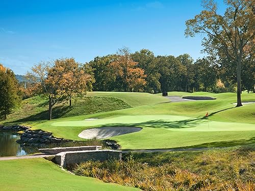 Miniatura 5 de Evergreen Farm and Garden Diamond Pro Green Divot Sand - 50 lb