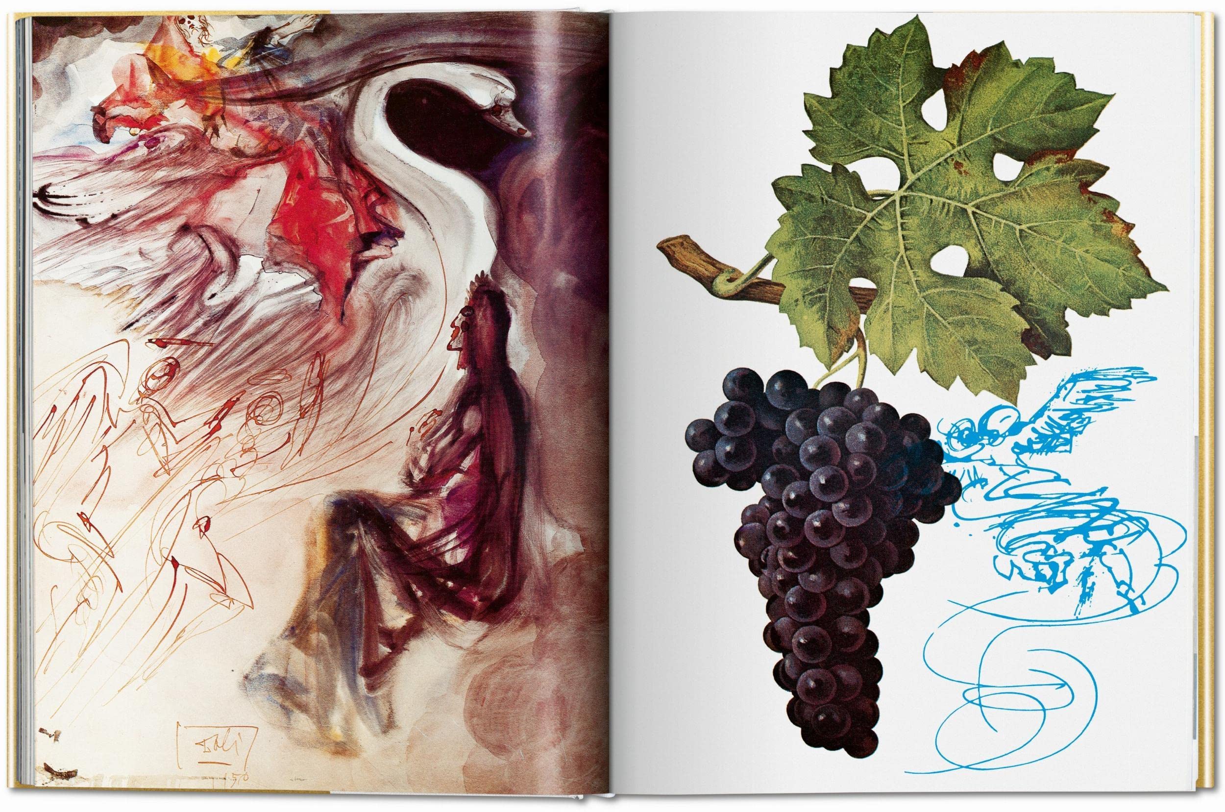 Dalí. The Wines of Gala [Idioma Inglés]