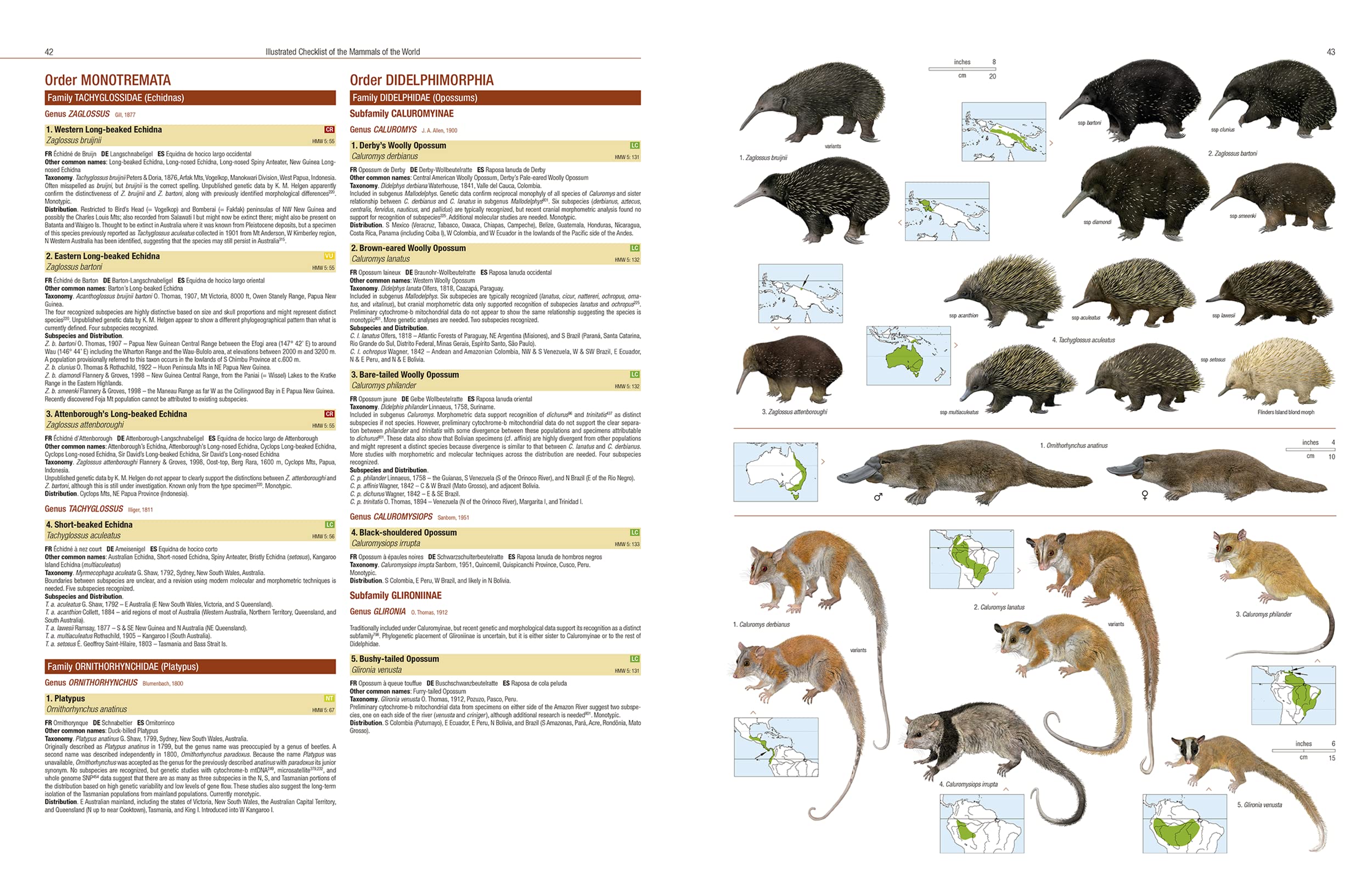 Illustrated Checklist of the Mammals of the World