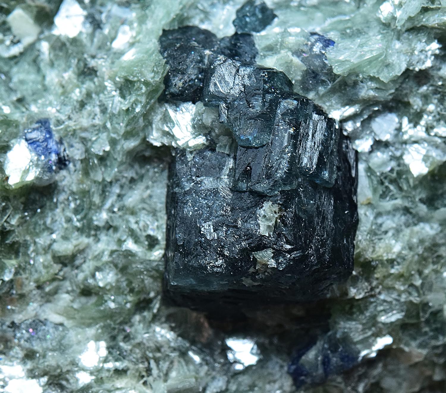 Rare Dravite Tourmaline Crystal W/Small Sapphire on Green Mica Matrix 248 Gram