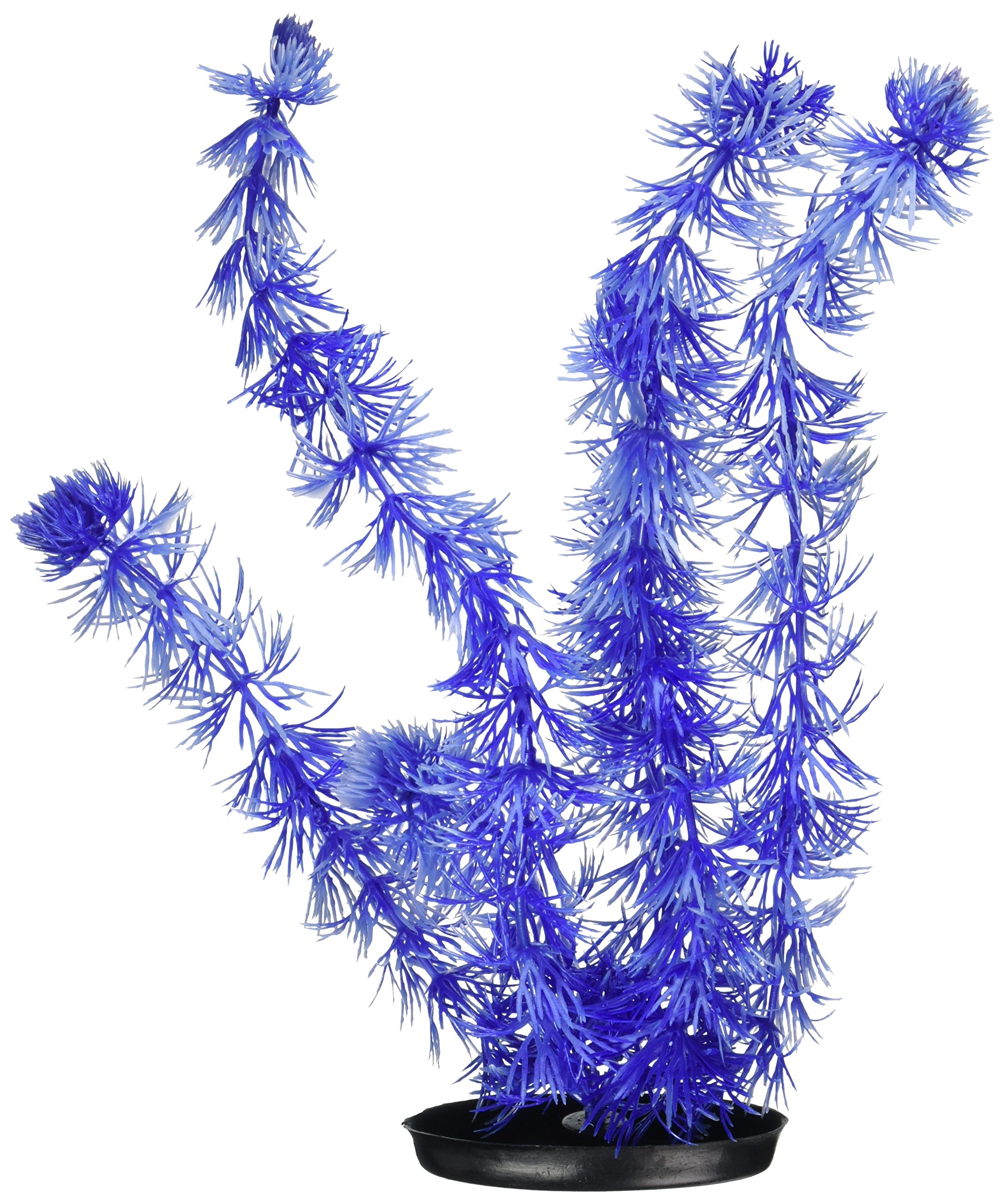 Marina Vibrascaper Hornwort Large Plant, 12-Inch