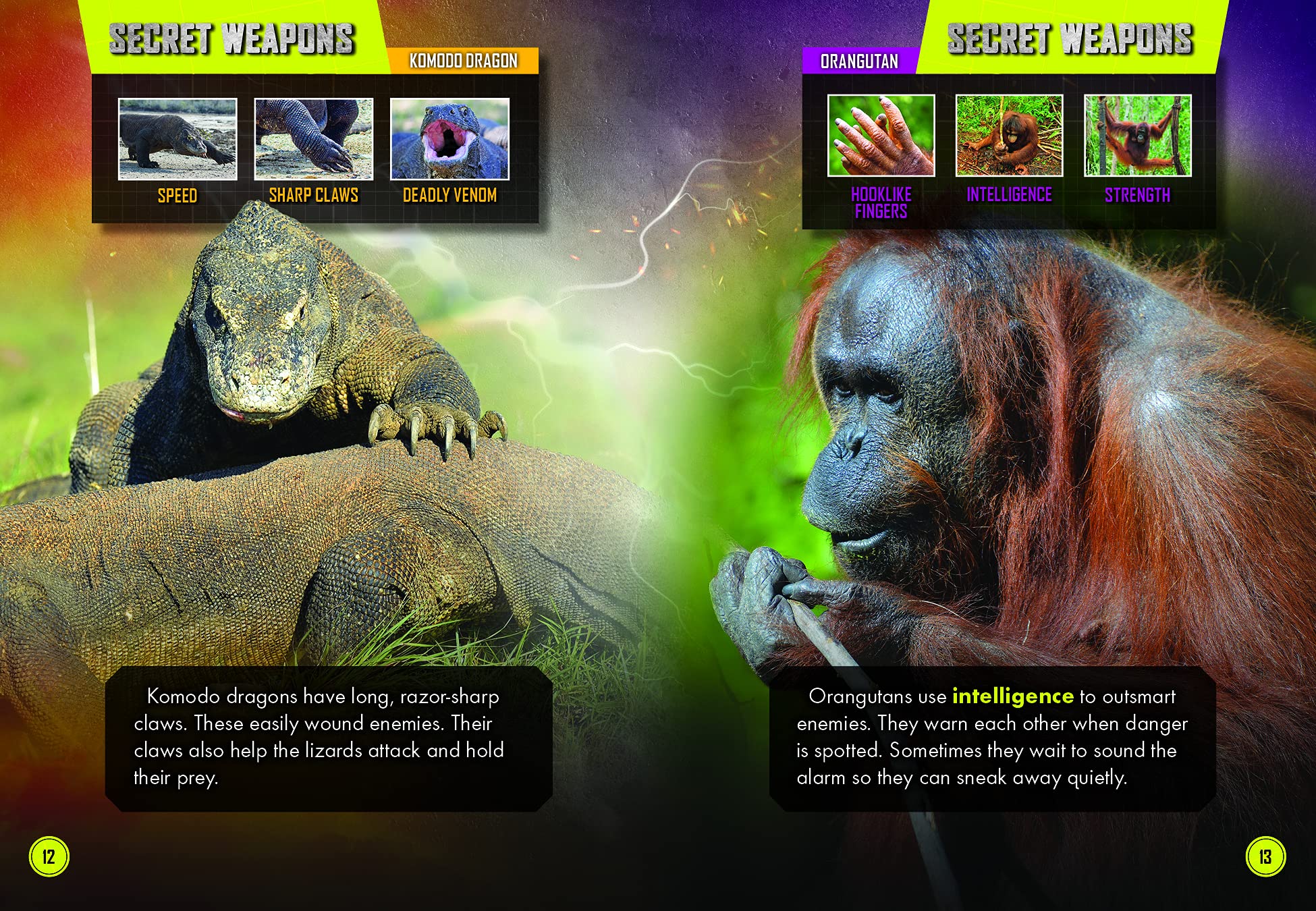 Komodo Dragon Vs. Orangutan