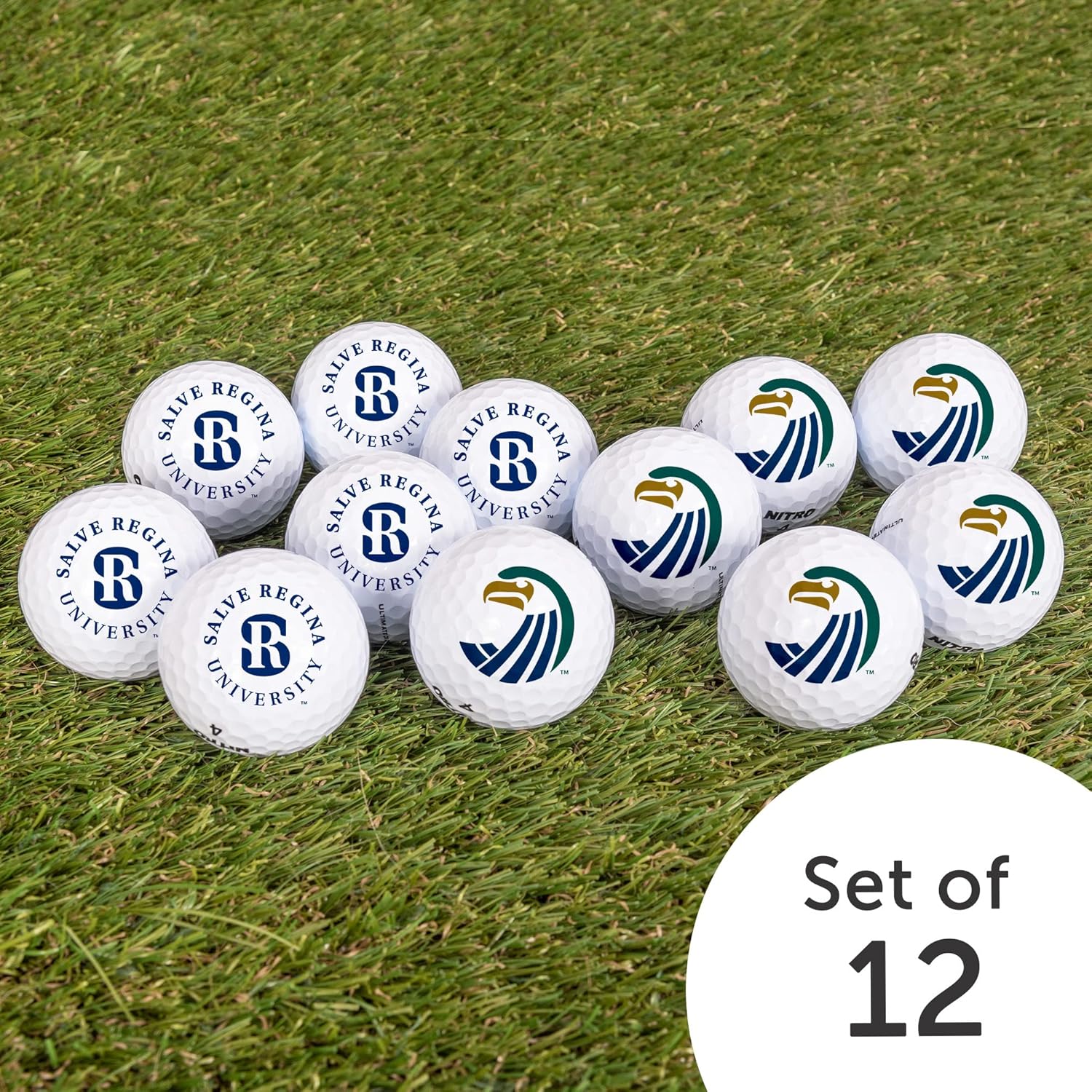 Desert Cactus Salve Regina University Golf Balls 12 Pack – SRU Seahawks Full Color Dozen – Officially Licensed Sport Team Accessory