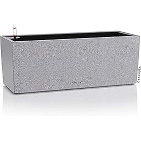 Gesponserte Werbeanzeige von LECHUZA Pflanzgefäße. "Das Geheimnis schöner Pflanzen." Jetzt bei LECHUZA Pflanzgefäße einkaufen.