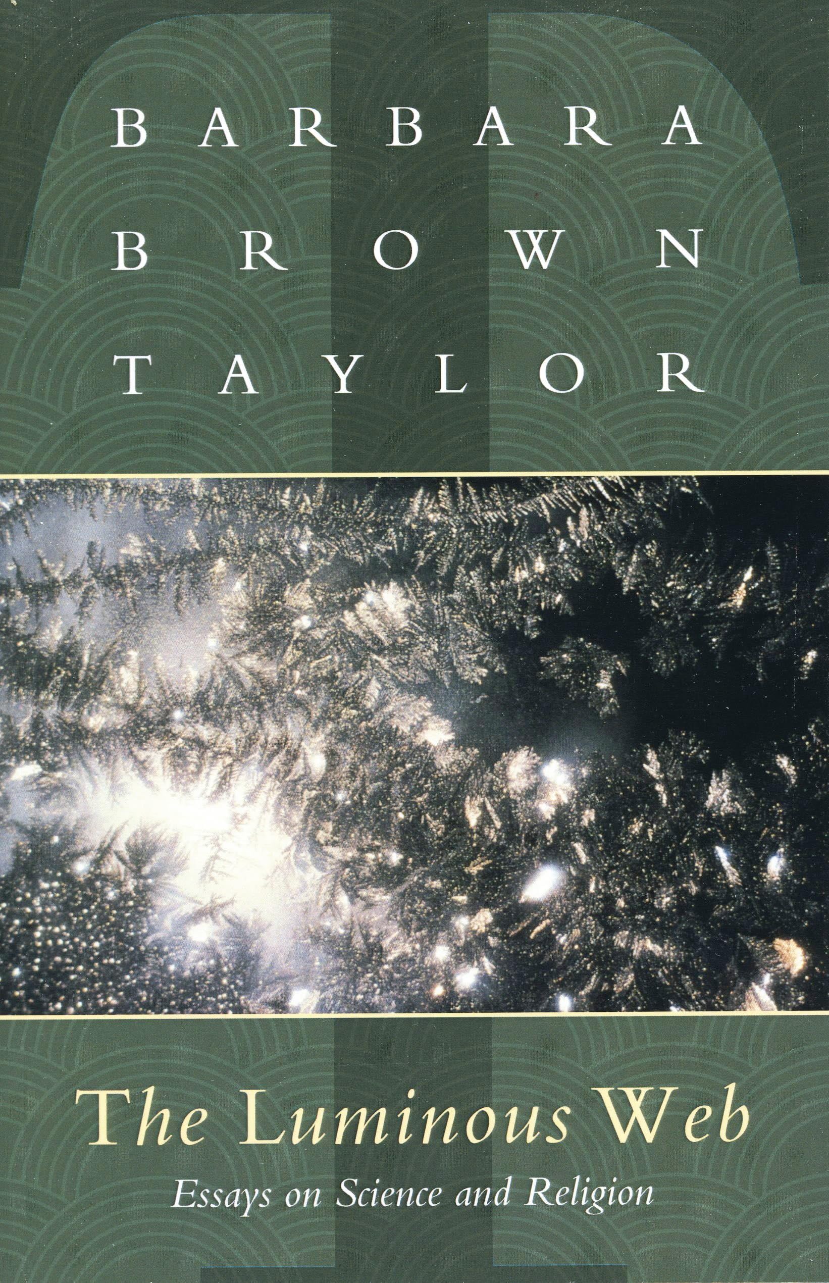 Buy The Luminous Web: Essays on Science and Religion — BookShops.in