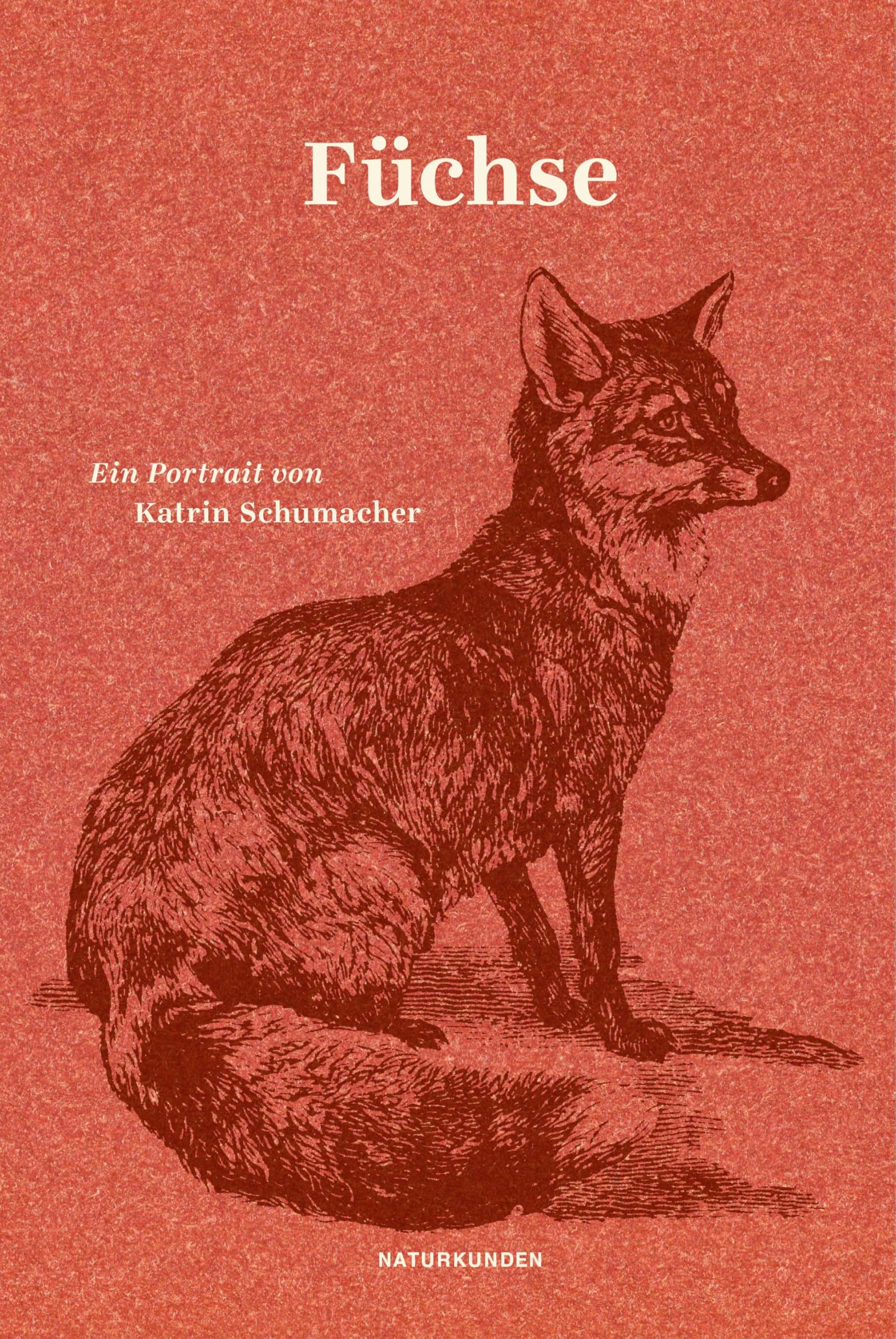 Füchse: Ein Portrait