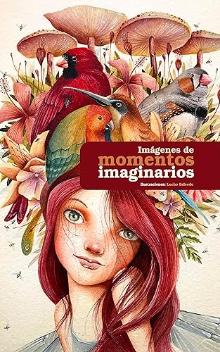 Libro Imágenes de Momentos Imaginarios Colección de Ilustraciones del artista Lucho Salcedo (Mundos Imaginarios de Lucho Salcedo) (Spanish Edition)