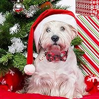 Vista 2 de ADOGGYGO Collar de Navidad para perro con pajarita, collar ajustable con corbatín para perro, collar de Navidad a cuadros rojos y verdes para perros