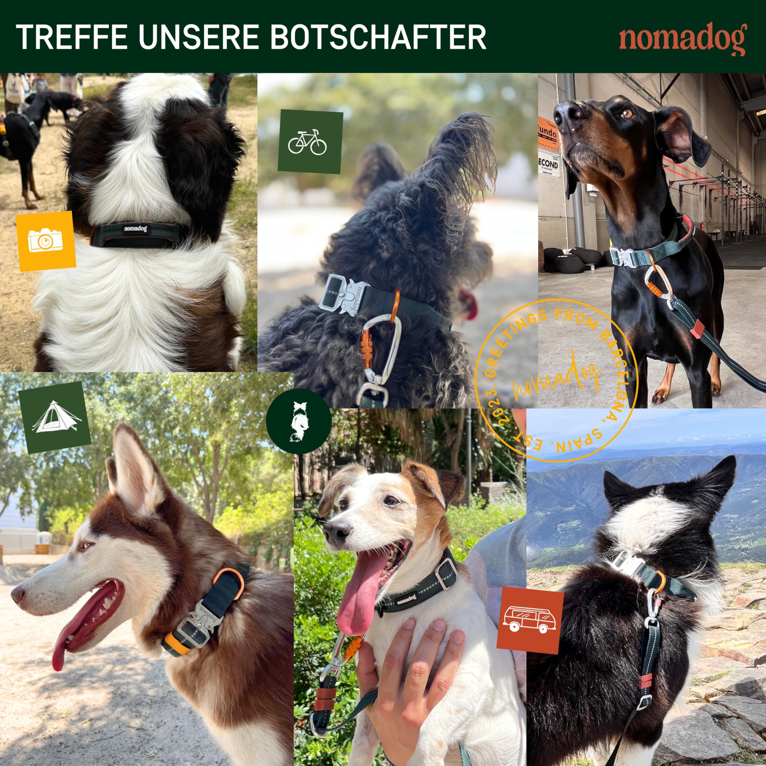 Nomadog Trailblazer Hundehalsband mit Griff für Große Hunde - Premium Aluminium Schnalle, Strapazierfähiges taktisches Halsband, Verstellbar, Gepolstert, Reflektierend (XL)