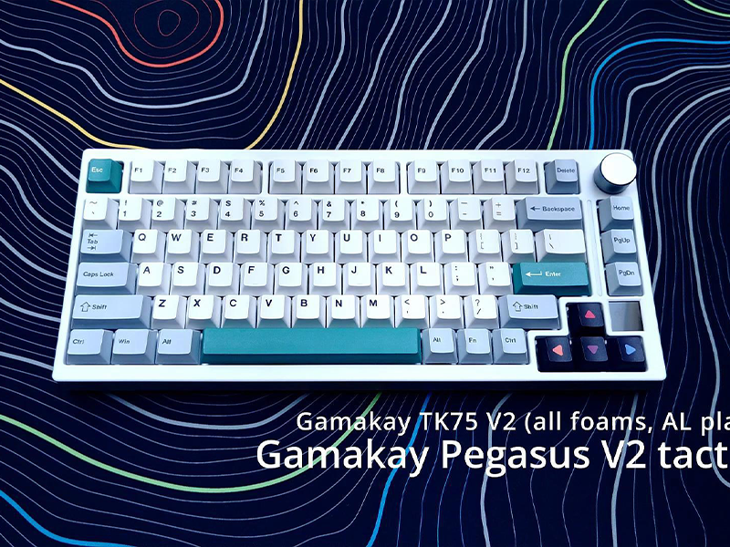 Amazon.com: GK GAMAKAY TK75 V2 75% Silent Mechanical Keyboard with