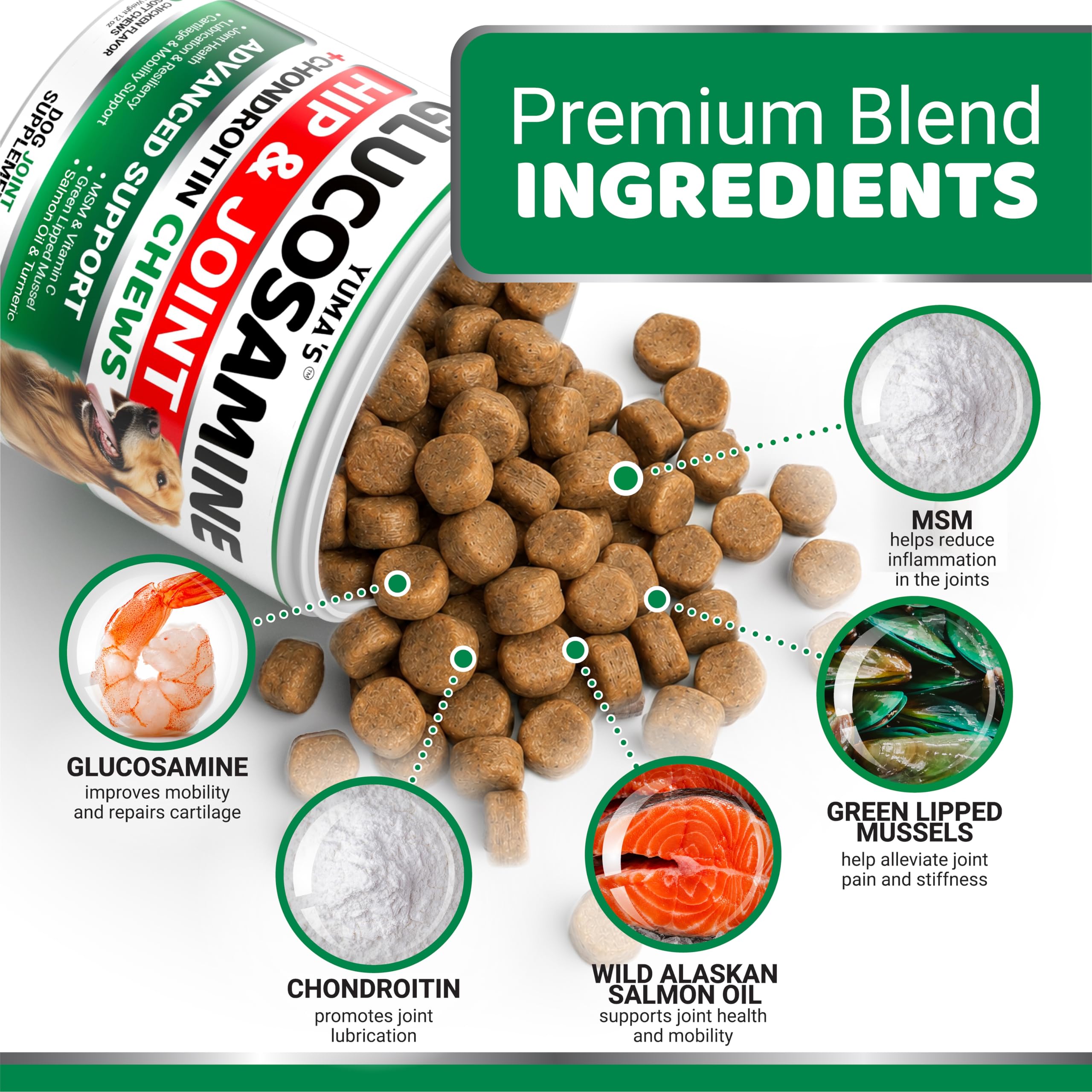 YUMA'S Glucosamine pour chiens - Supplément de hanche et articulation pour chiens - 170 CT - Glucosamine chondroïtine pour chiens à mâcher - Soulagement des douleurs articulaires pour chiens avec
