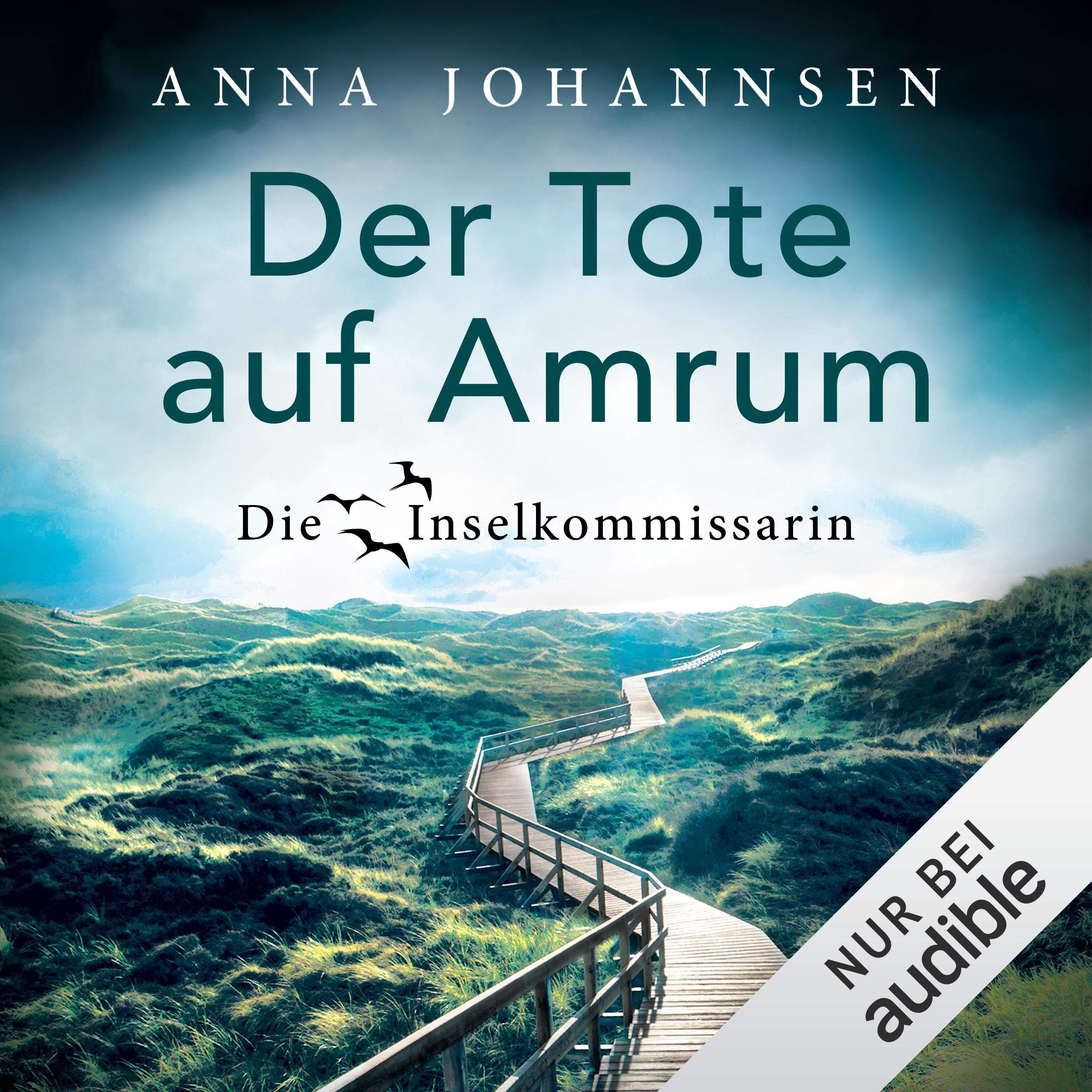 Cover art for Der Tote auf Amrum