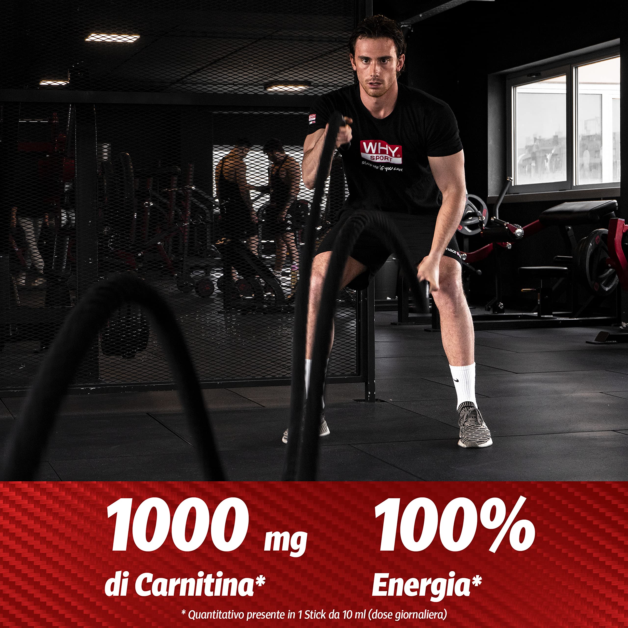 WHY SPORT CARNITINA 1000 - Integratore Alimentare Energetico a Base di L-carnitina – Gusto Agrumi – Box da 60 Sticks – 10 ml