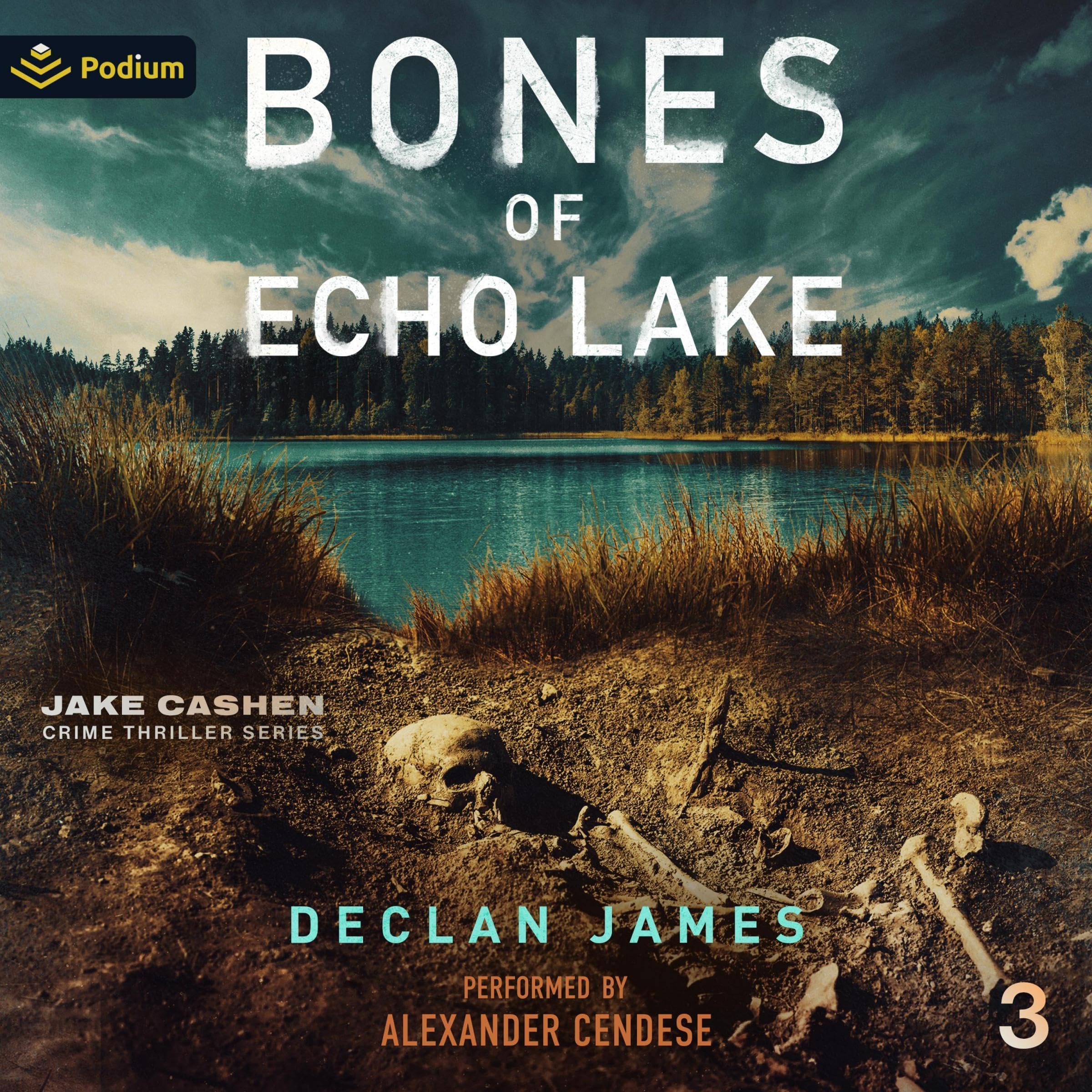 Cover art for Bones of Echo Lake