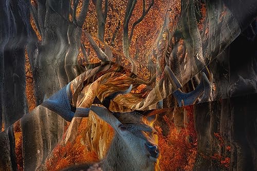 Miniatura 5 de Tailor Shop - Juego de ropa de cama con diseño de ciervos para niños, animales silvestres, bosque, jungla, edredón de ciervos para niños y