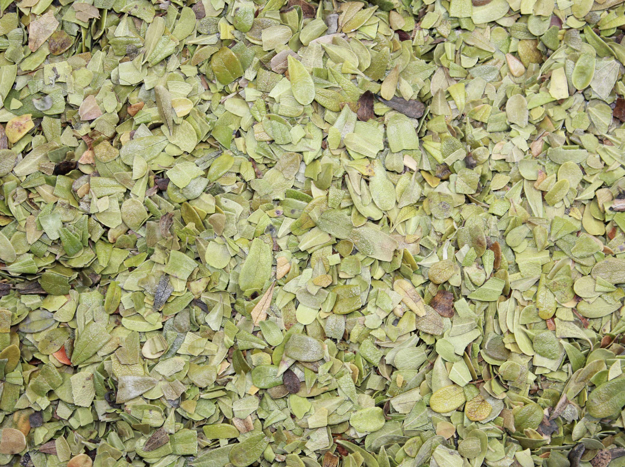 1000Kräuter Bärentraubenblätter geschnitten Kräutertee (2000g)