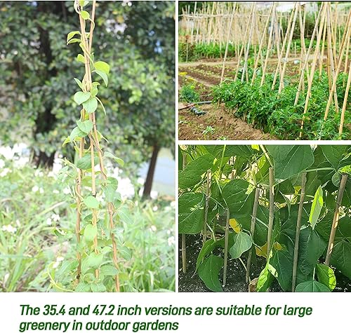 Miniatura 6 de HTWNK 50 estacas de bambú natural de 16 pulgadas para plantas de interior, tomate, plantas en maceta