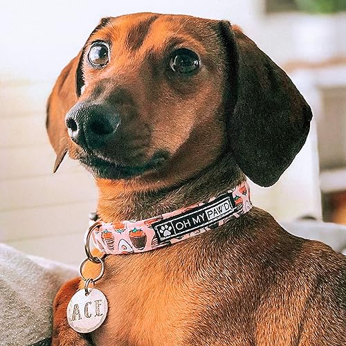 Miniatura 4 de St Patrick's Day Donuts Collar for Pets Size Extra Large 1.5 Inch Wide and 17-25 Inches Long - Hand Made Dog Collar by Oh My Paw'd