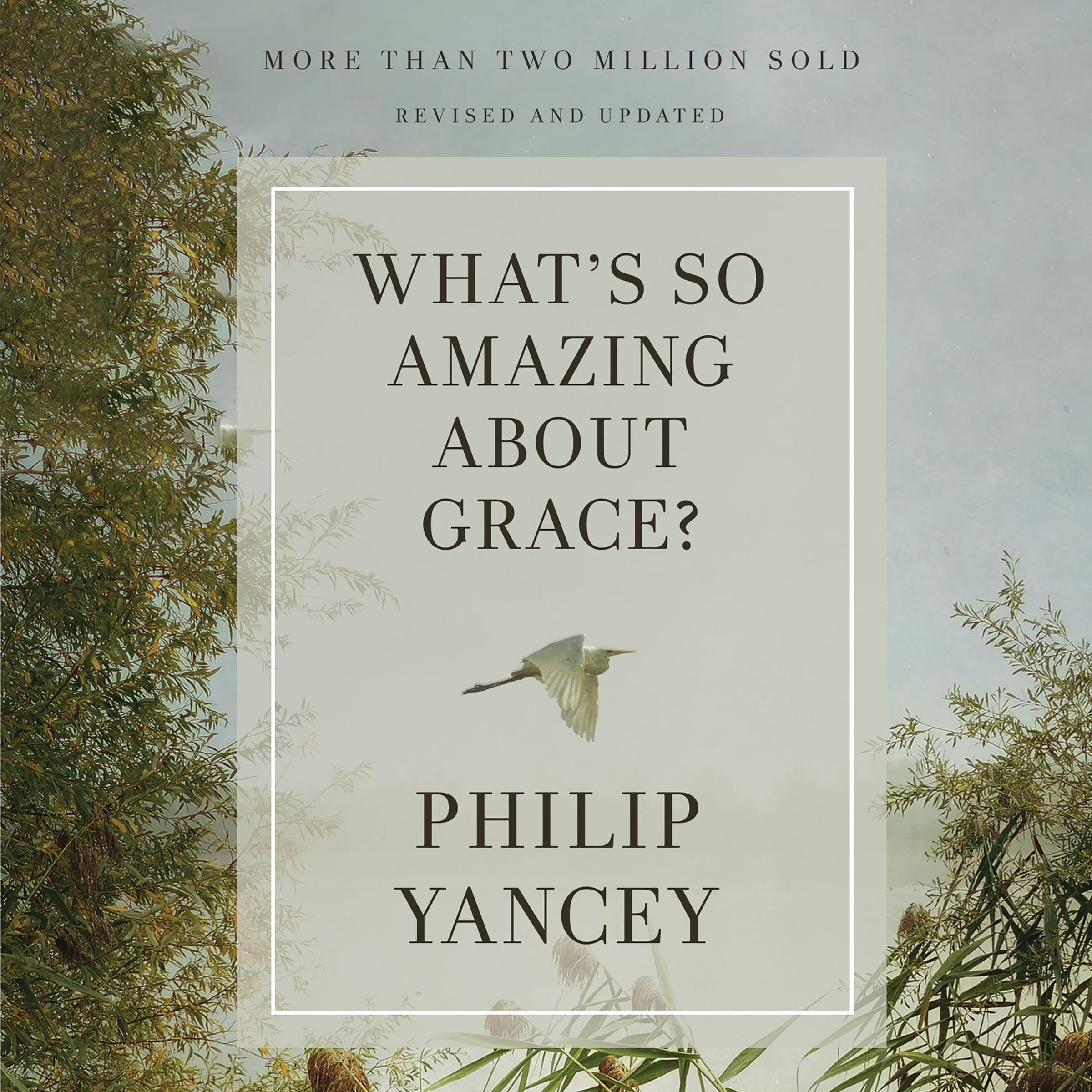 Cover art for What's So Amazing About Grace? Revised and Updated