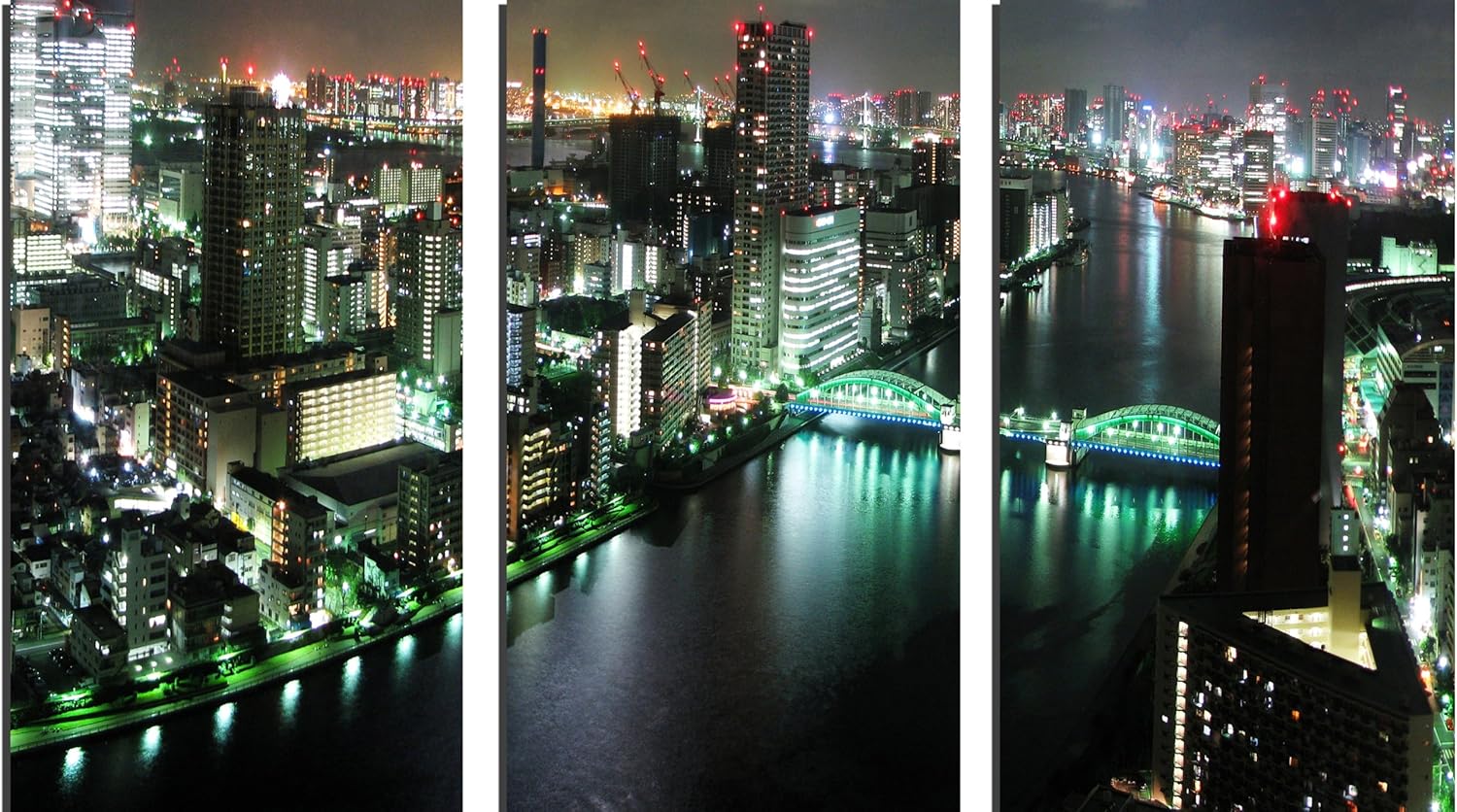 LARGE SPLIT CANVAS ART 3 PANEL CITYSCAPE ARTWORK mounted and ready to