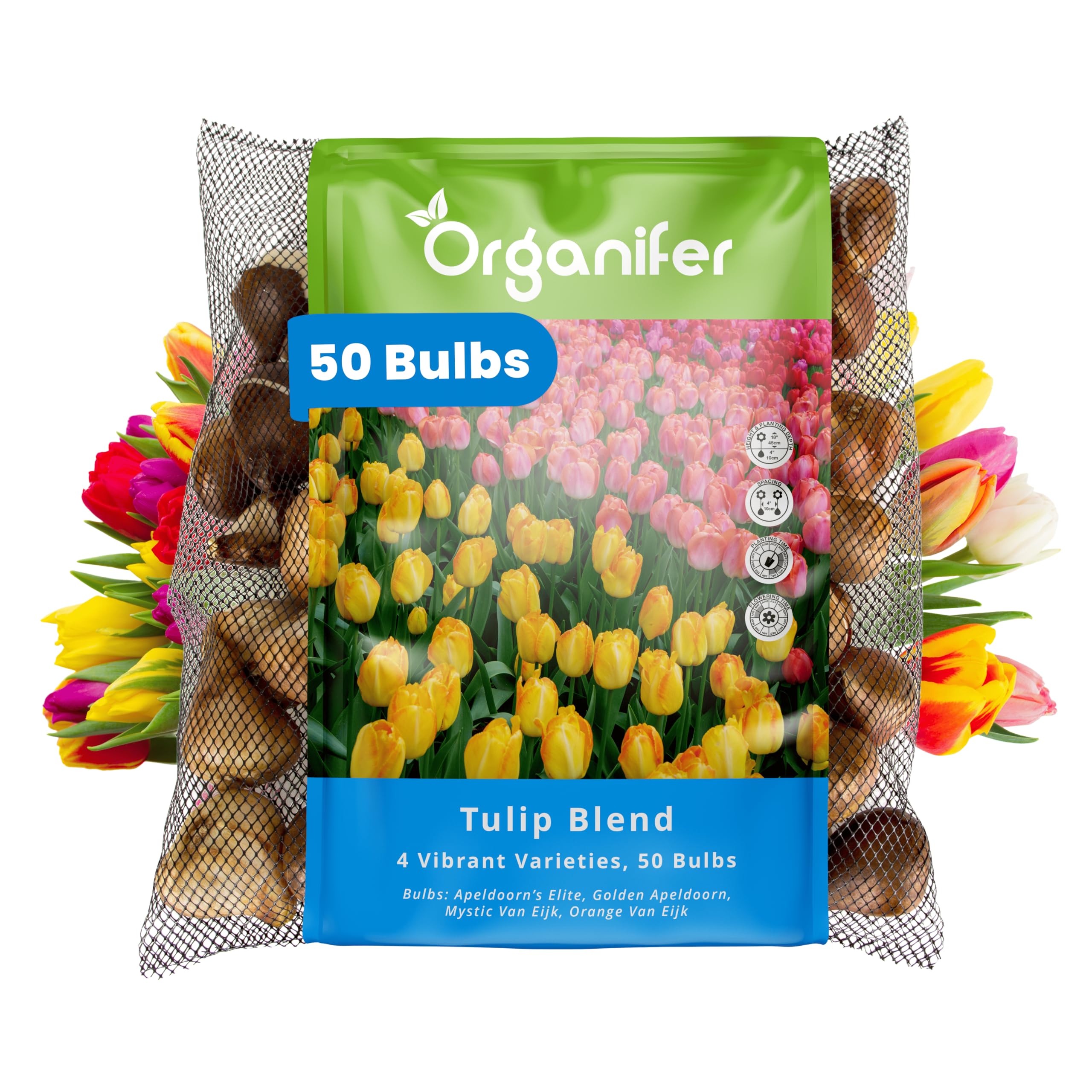 50 Bulbi Di Tulipano