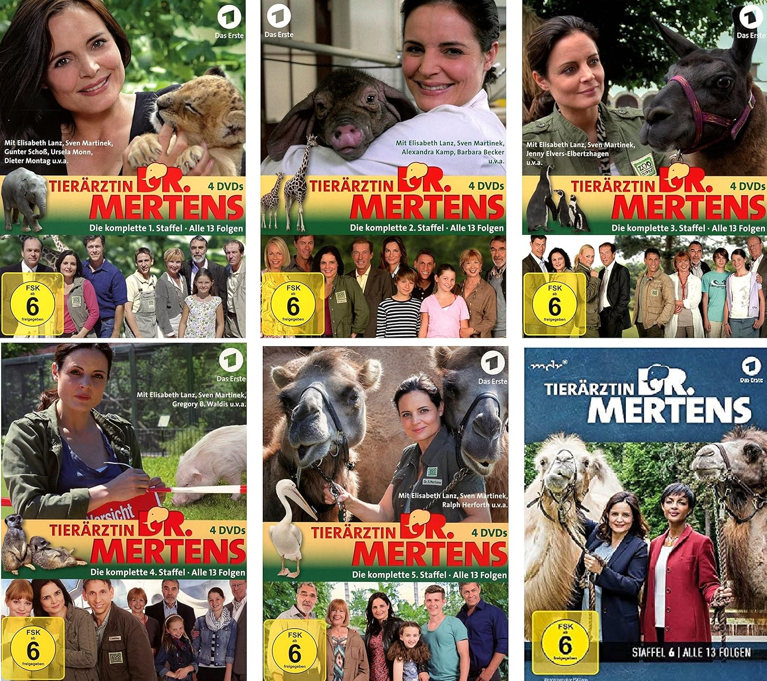 Tierärztin Dr. Mertens Staffel 1 6 im Set Deutsche Originalware [24 DVDs] Amazon.de
