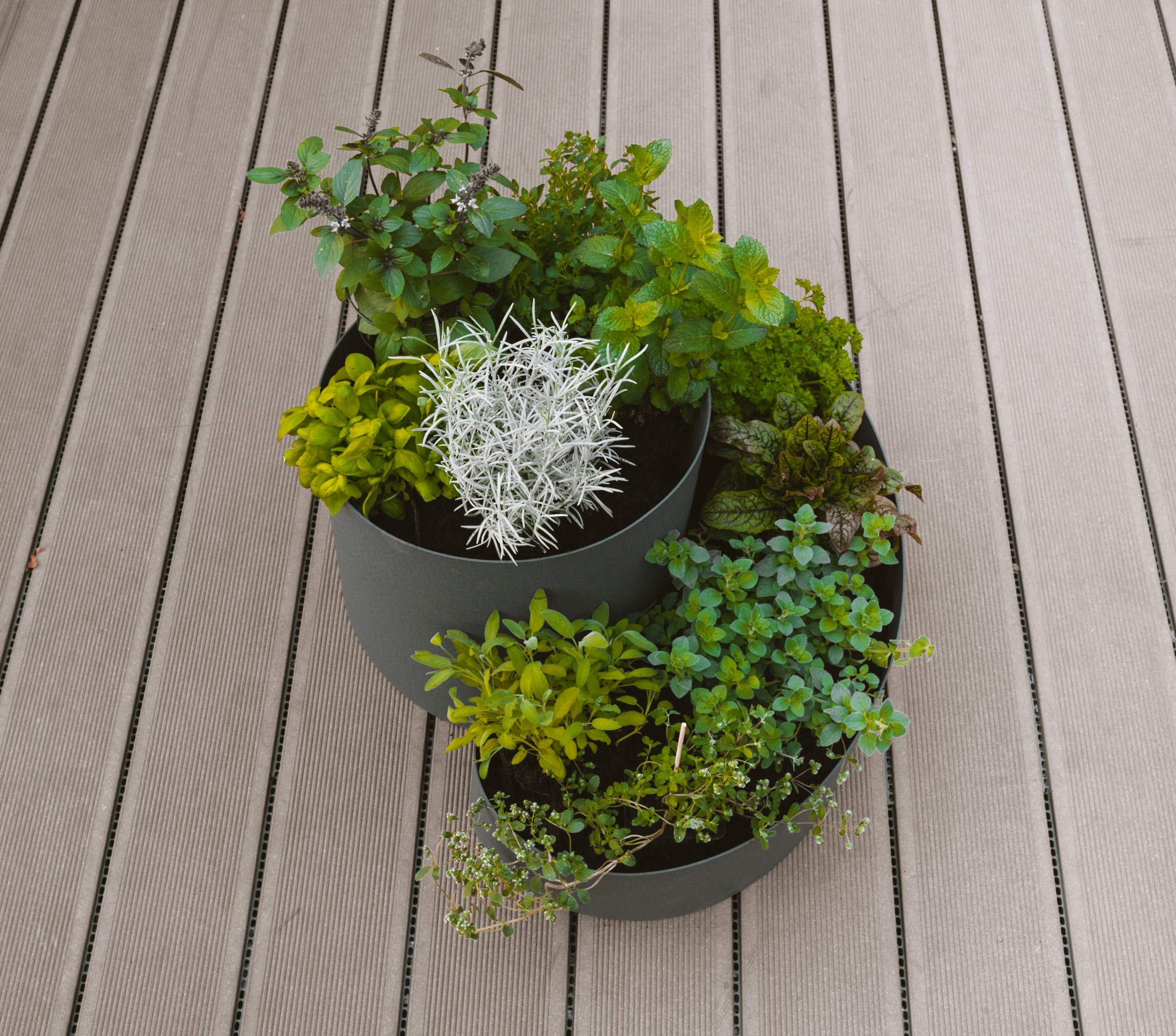 Kräuterspirale | 35cm x Ø50cm | Grau | Kräuterschnecke | Pflanzspirale aus Kunststoff | modernes Design | Bausatz mit Vliesunterlage | inkl. 5 Liter TerraSponge Wasserspeichervlies