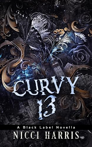 CurVy 13: A Why Choose, Dark Romance Novella (The Curvy Thirteen Playlist Book 1)