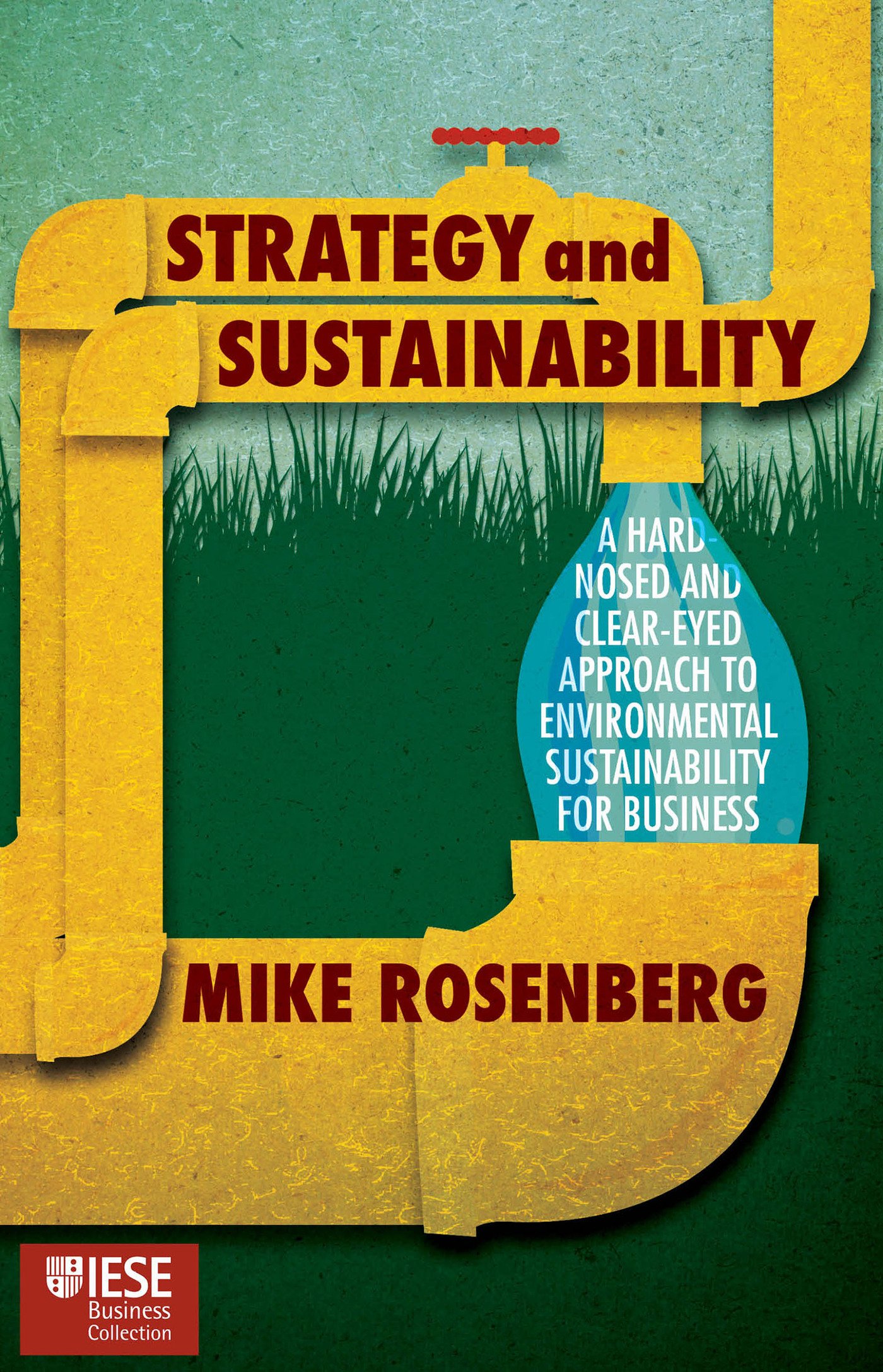 Strategy and Sustainability by Mike Rosenberg HARDBACK 9781137501738