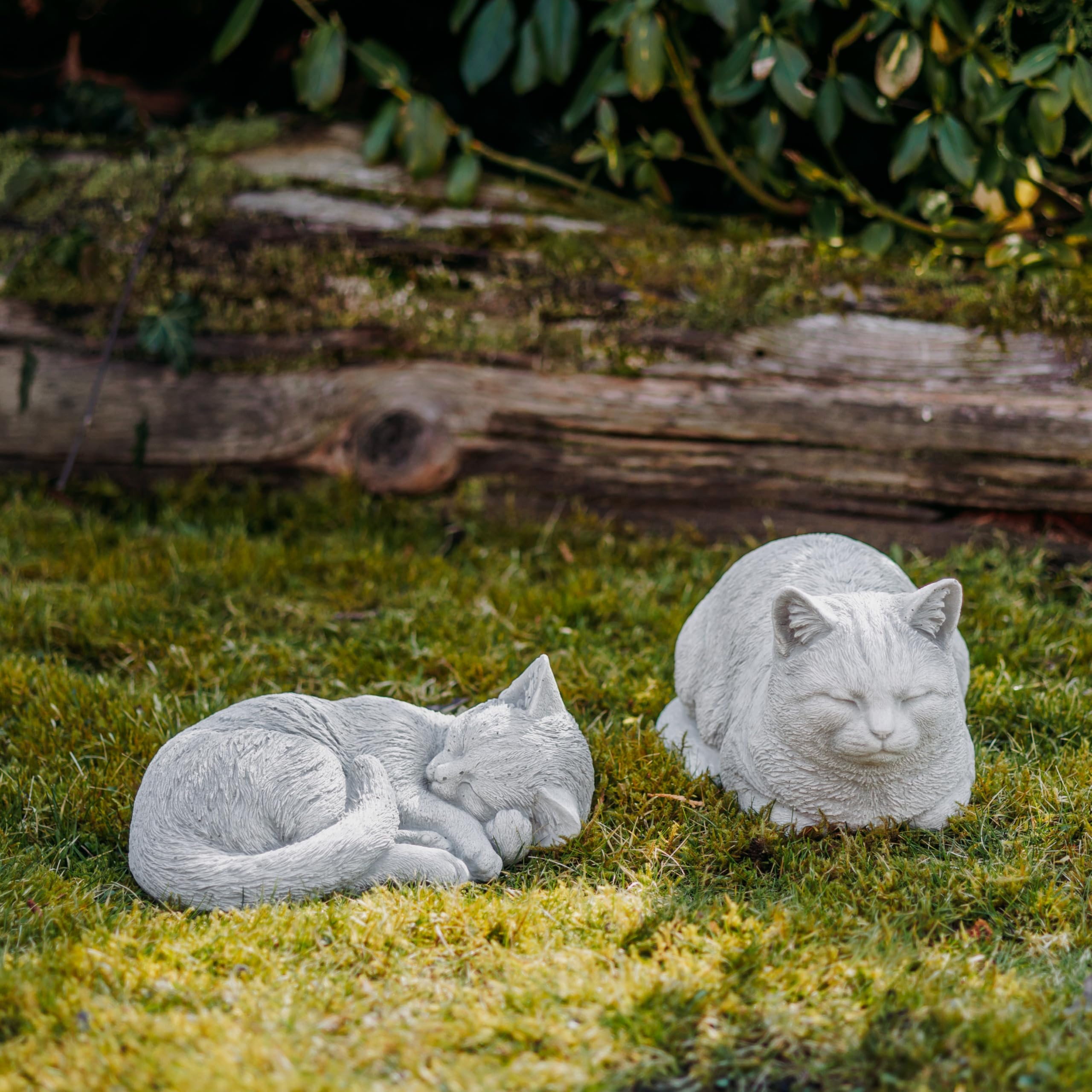 gartendekoparadies.de Massive figura di pietra camera gattino decorazione del giardino della decorazione di pietra espressi frostfest