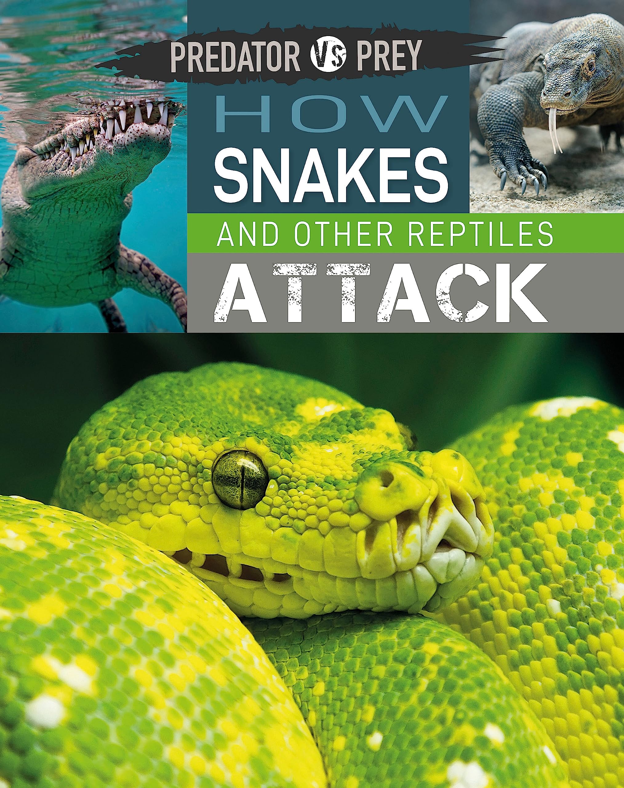 PREDATOR VS PREY: HOW SNAKES AND OTHER REPTILES ATTACK