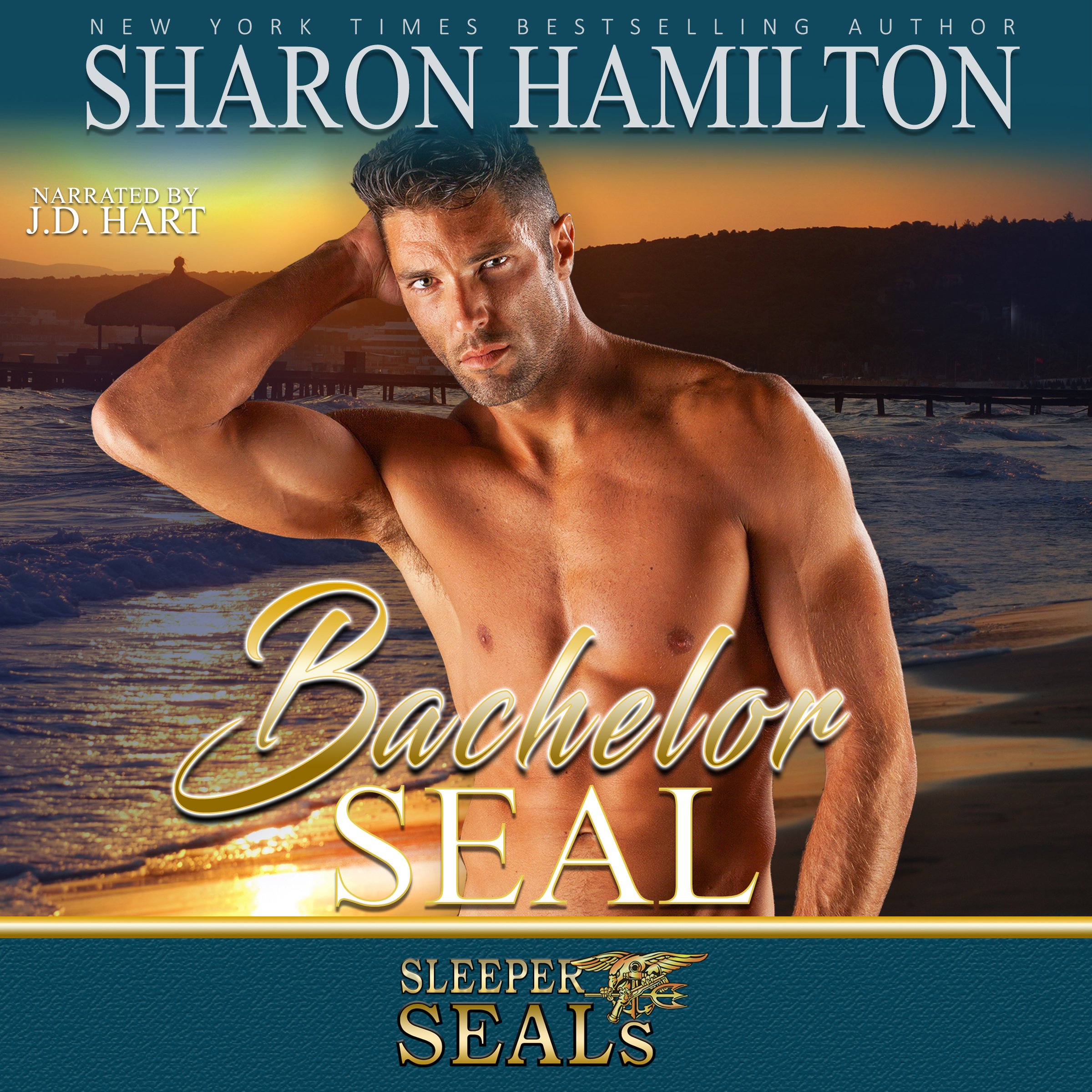 Cover art for Bachelor SEAL