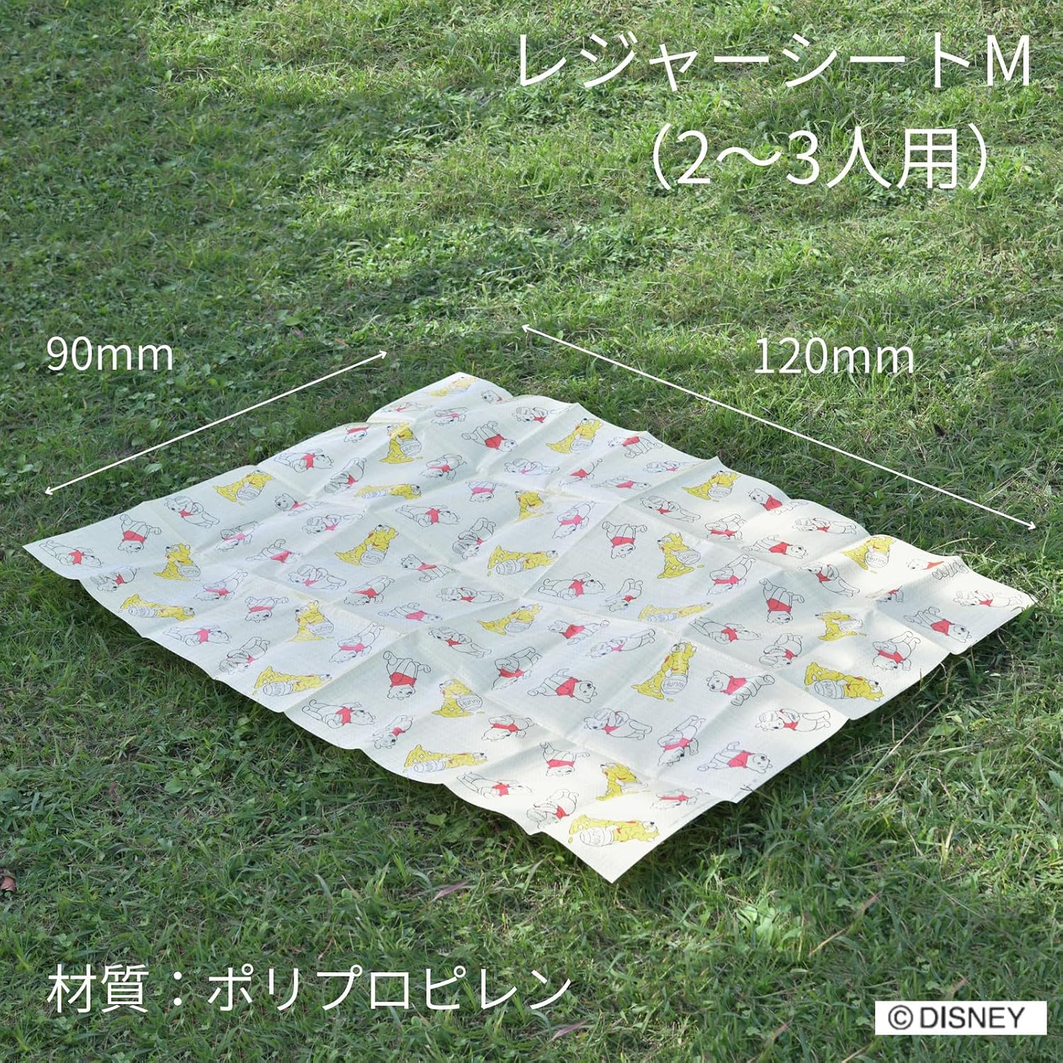 ヤクセル(Yaxell) Yaksell Disney Leisure Sheet M Winnie The Pooh (FunnyFaces) image 3