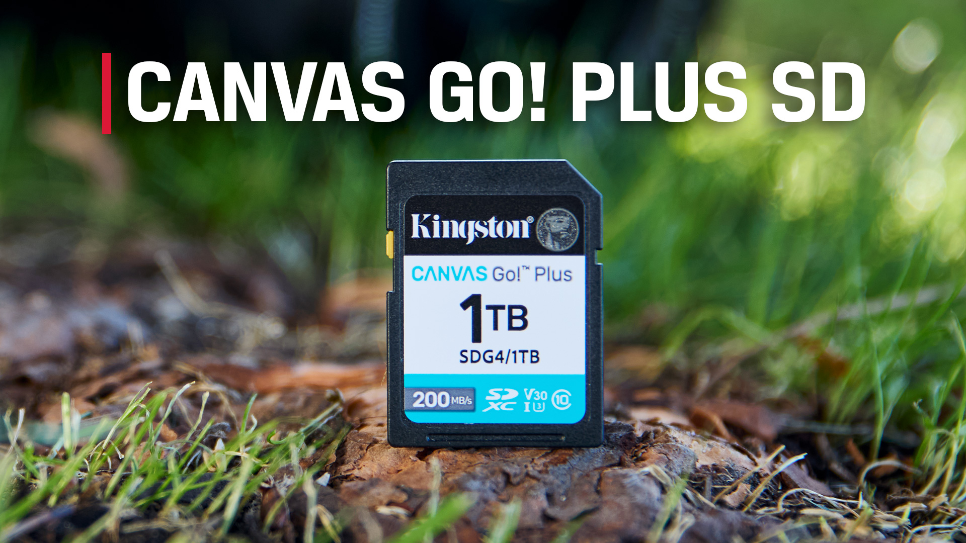 Amazon.com: Kingston Canvas Go Plus 512GB SD Card | Up to 200MB/s