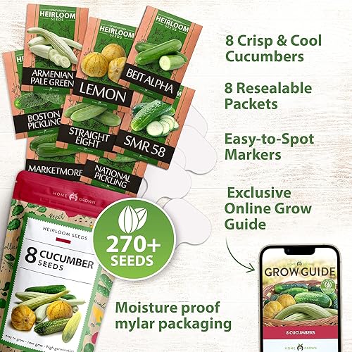 Miniatura 4 de HOME GROWN 8 semillas de pepino para plantar, limón, encurtido nacional, armenio, beit alfa, ocho semillas de pepino rectas, semillas de vegetales
