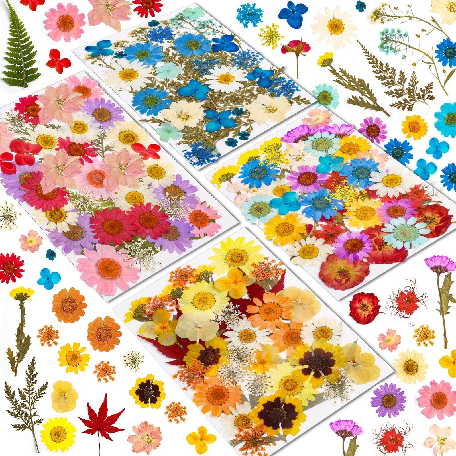 50 Petites Fleurs Séchées Ruzister - Gypsophile Rose Pour DIY, Résine, Bijoux Et Décoration - Naturelles Et Délicates