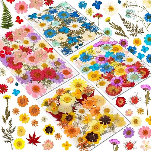 Vista 15 de 102 piezas de flores secas para moldes de resina, hojas de flores prensadas secas naturales a granel para hacer joyas, kit de hierbas secas reales