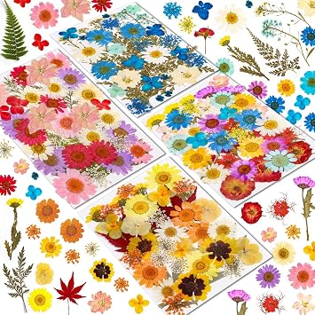 Real Dried Pressed Flowers for Resin, Natural Dry Flowers Leaves Bulk Herbs Kit for DIY Scrapbooking Stamping Supplies Epoxy Resin Jewelry Molds Candle Soap Making Nails Decor Art Crafts