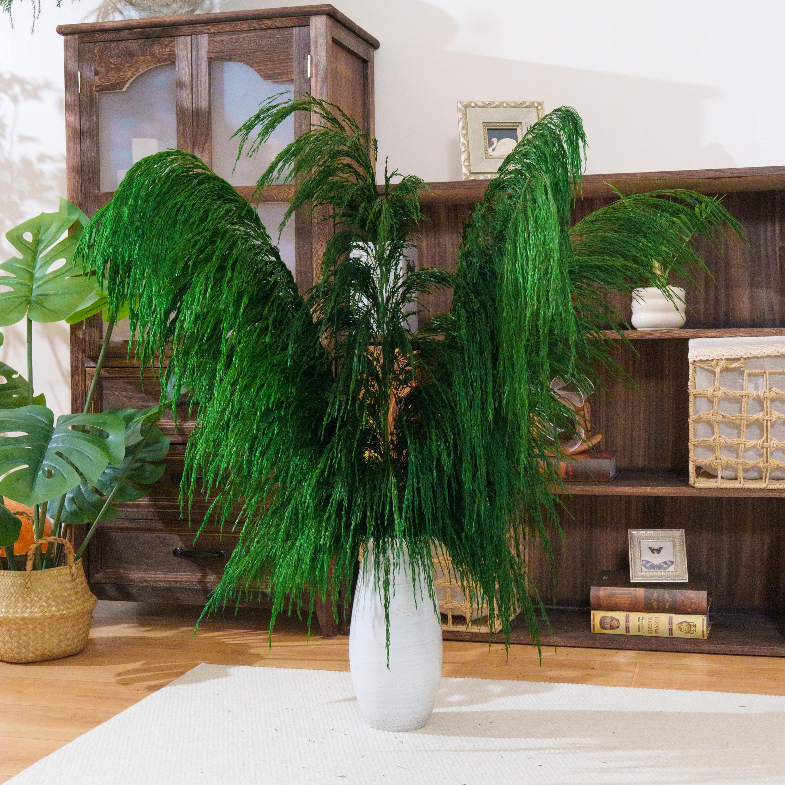 Lot de 8 Herbes de Pampa Vertes Séchées - 80 cm - Décoration Naturelle Salon - Plantes Séchées Parfumées - Style Bohème Chic - Intérieur Maison - Décoration Murale Élégante