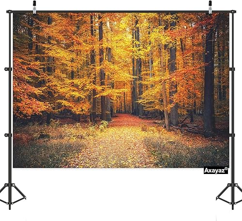 Axayaz Tapiz para colgar en la pared de árbol de arce otoñal, camino, campo de hierba, amarillo y naranja, telón de fondo de parque de otoño,