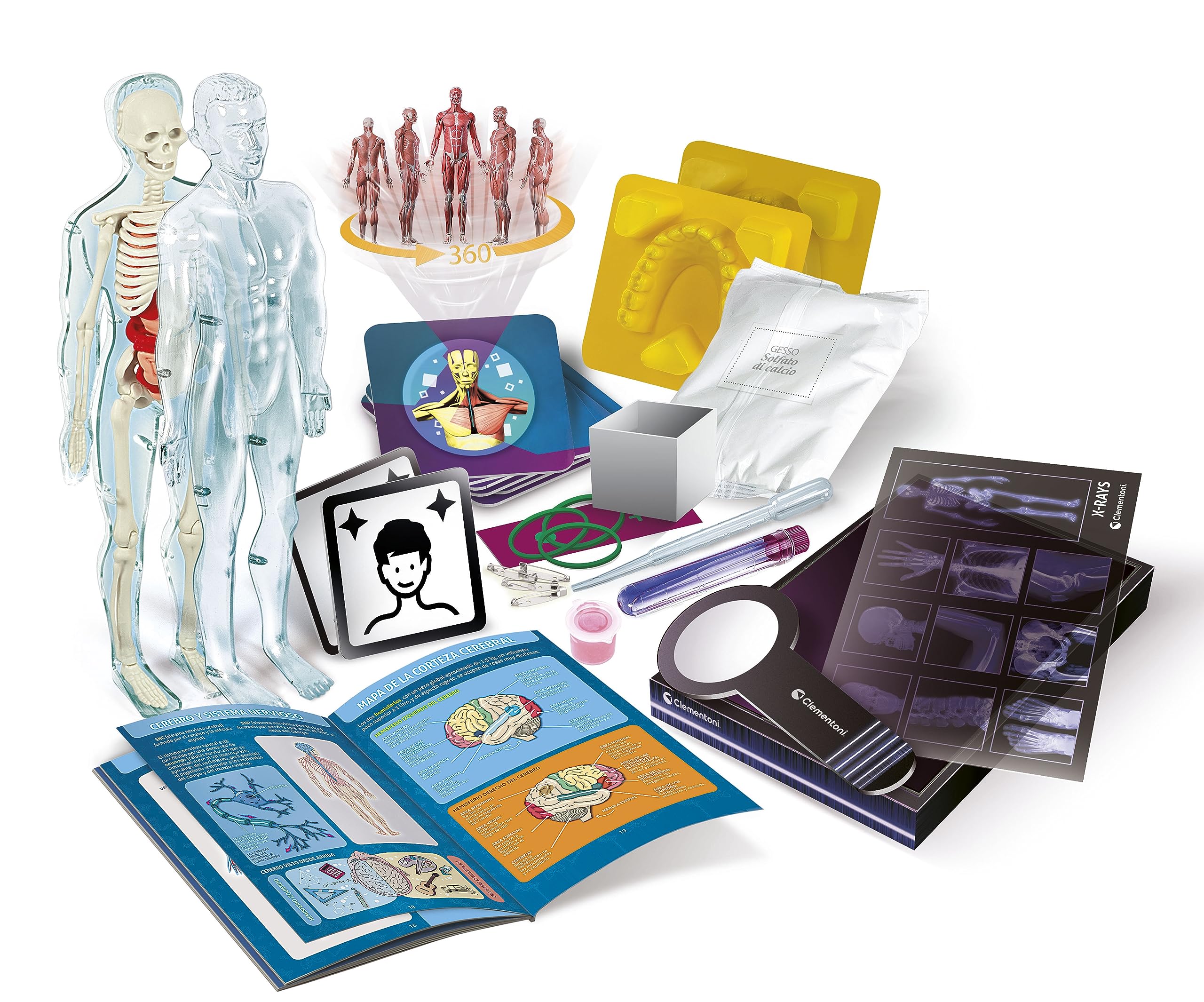 Clementoni Superanatomía - Juguete científico de anatomía con App dedicada y Realidad Aumentada, para Descubrir el Cuerpo Humano, a Partir de 8 años, Juguete en español (55509)